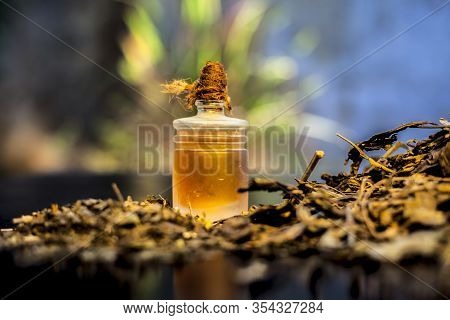 Close Up Of Shankhpushpi Roots On The Wooden Surface Along With Some Of Its Powder And Oil With It.