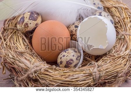 Beautiful Easter Straw Basket With Many Eggs And White Feather. Happy Easter With Hidden Nest. Tradi