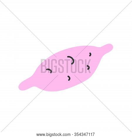 Sweet Potato. Organic Healthy Yam Vegetable. Fresh Natural Root. Vector Illustration Of Yam Batat Ve