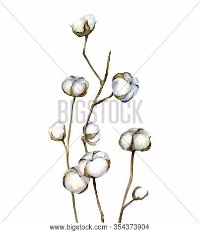 Vintage Bouquet Of Twigs And Cotton Flowers. Botanical Illustrations.watercolor. Wedding Invitation,
