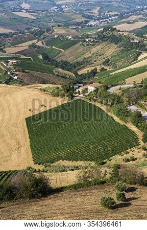 Rural Landscape At Summer From Ripatransone, Ascoli Piceno, Marches, Italy