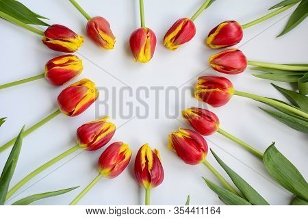 Wers Of Red-yellow Tulips Lie In The Shape Of A Heart On A White Background. Festive Composition. To