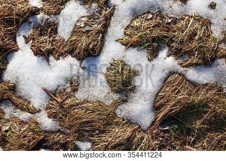 The Snow Is Almost Gone. Through The Thaw Of Snow Dry Grass Is Visible. Early Spring