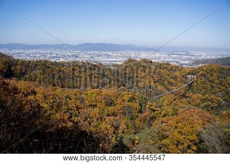 Suspension Bridge In Deciduous Forest During Autumn Foliage, Hoshi No Buranko, Hoshida, Katano, Osak