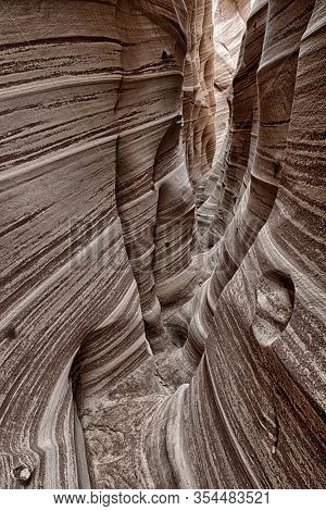Zebra Canyon is a vivid striped and very narrow gorge. The awsome zig-zag shapes were created by water. Grand Staircase-Escalante National Monument, Utah. USA. Black and white