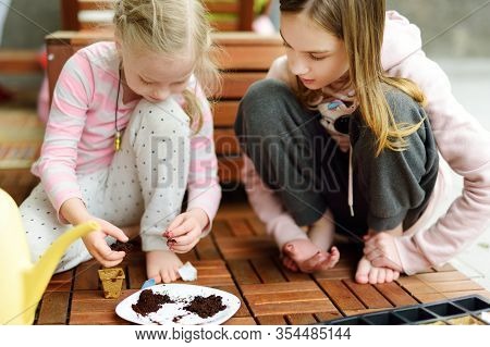 Two Cute Young Sisters Planting Flowers And Vegetables In Small Biodegradable Seedling Pots. Childre