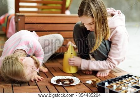 Two Cute Young Sisters Planting Flowers And Vegetables In Small Biodegradable Seedling Pots. Childre