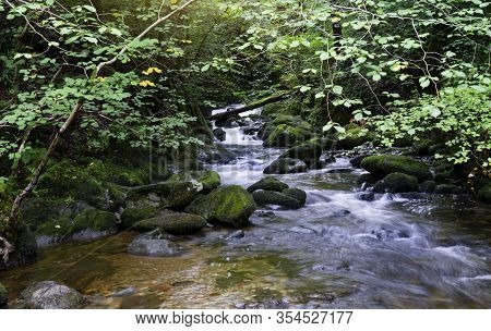Beautiful Panorama View Of Water Fall Landscape At Green Forest In The Summer, Ghyll Force, Amblesid