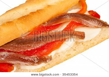 Sardela Sub