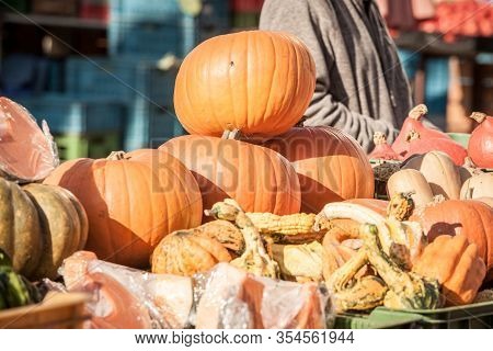 Various Species Of Pumkin For Sale On The Stalls Of Brno Farmers Market In Czech Republic In Autumn.