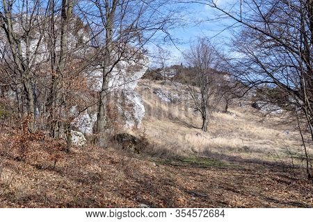 Góra Zborów (berkowa Góra) - A Rocky Hill Within The Village Of Podlesice In The Śląskie Voivodeship