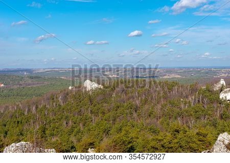 Góra Zborów (berkowa Góra) - A Rocky Hill Within The Village Of Podlesice In The Śląskie Voivodeship