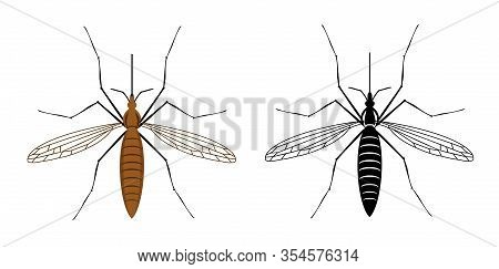 Colorful And Black Silhouette Mosquito Isolated On White Background. Illustration Of Insect. Mosquit