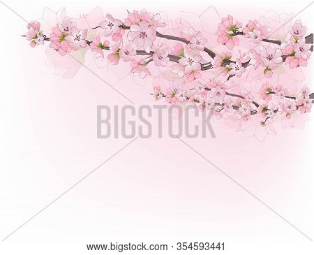 Delicate Branches Of Cherry Blossoms. Cherry With Pink Flowers. Buds And Petals. Stock Vector.