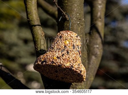 Bell From Various Grains, A Delicacy For All The Birds In The Garden