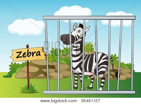 Abbildung eines Zebras im Käfig und Holzbrett