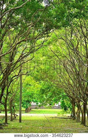 Corregidor Island Surrounding Trees In Cavite, Philippines. Corregidor Is An Island Located At The E