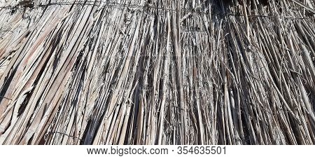 The Texture Of The Gatural Straw. Canopy From The Sun