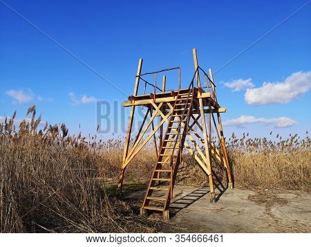 Birdwaching Tower - Nature Observation Cabin In The Vacaresti Delta