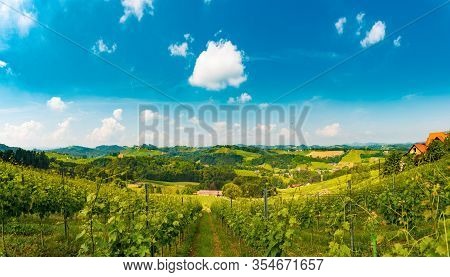 Austria Vineyards Sulztal Leibnitz Area South Styria Bad Radkersburg, Wine Country
