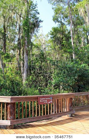 Everglades Boardwalk