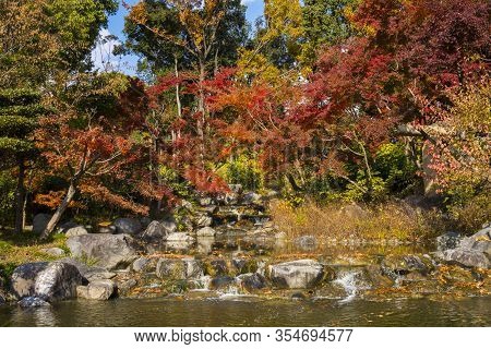 Streaming River, Colorful Autumn Foliage In Tsurumi Ryokuchi Park, Osaka, Japan