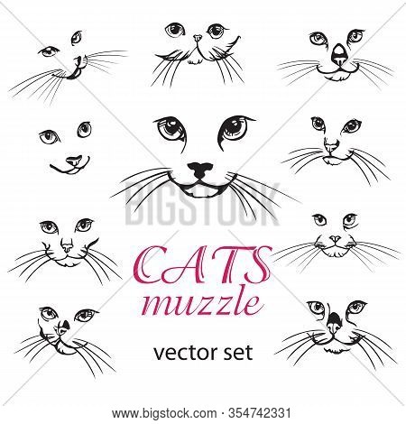 Abstract Vector Illustration Of Cats Muzzle Set. Set Of  Cats Logo Design Template. Abstract Animal 
