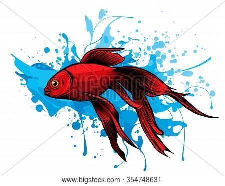 Red Drum, Redfish. Vector Illustration With Refined Details