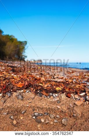 A Beach Soil Formed From Pebble Stones And Sand On The Isle Of Fehmarn At The Baltic Sea