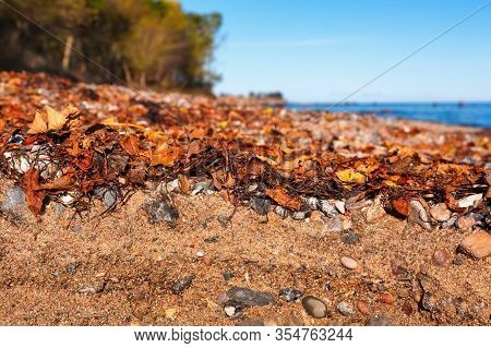 A Beach Soil Formed From Pebble Stones And Sand On The Isle Of Fehmarn At The Baltic Sea