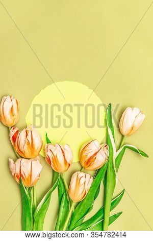 Composition With Yllow Round And A Bouquet Of Beautiful Tulips. The Concept Of Spring Holidays, Spri