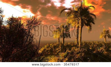 Tropical river