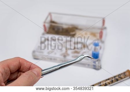 Acrylic Ant Farm, Formicarium With Messor Ants And Tools For Care And Feeding On A White Background.