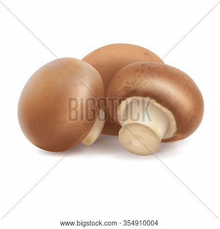 Group Of Three 3d Realistic Champignons Isolated On White Background. Mushroom Composition For Food 