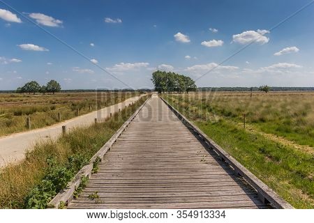 Wooden Bicycle Bridge In National Park Dwingelderveld, Netherlands