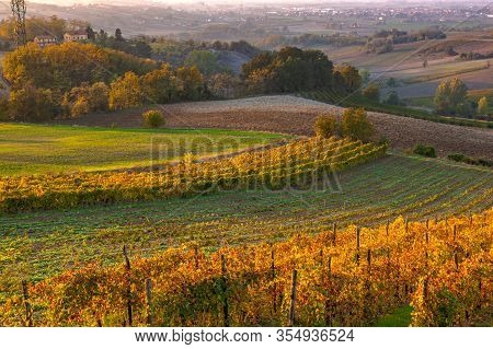 Vineyards In The Tortona Hills At Sunset During The Autumn Season