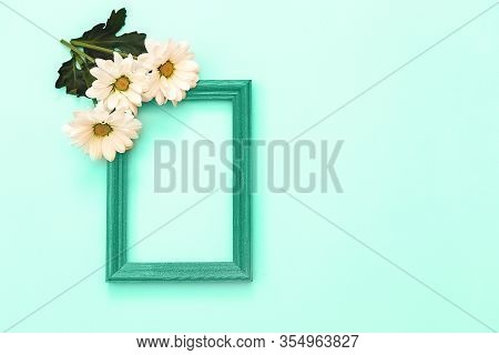 White Chrysanthemum With Wooden Green Frame And Copy Space On A Mint Background