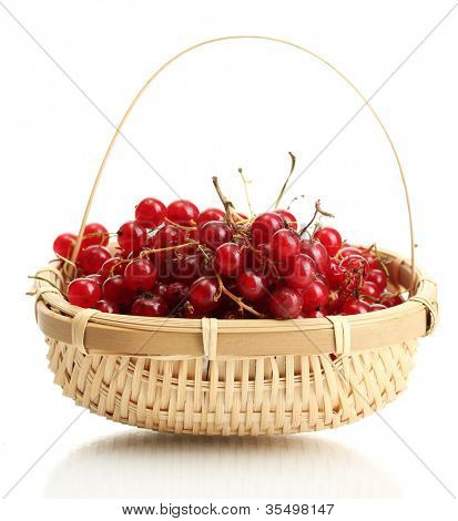 redcurrants ในตะกร้าแยกต่างหากบนพื้นสีขาว