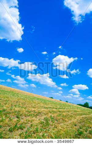Campi e prati