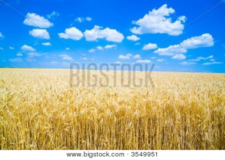 Grano