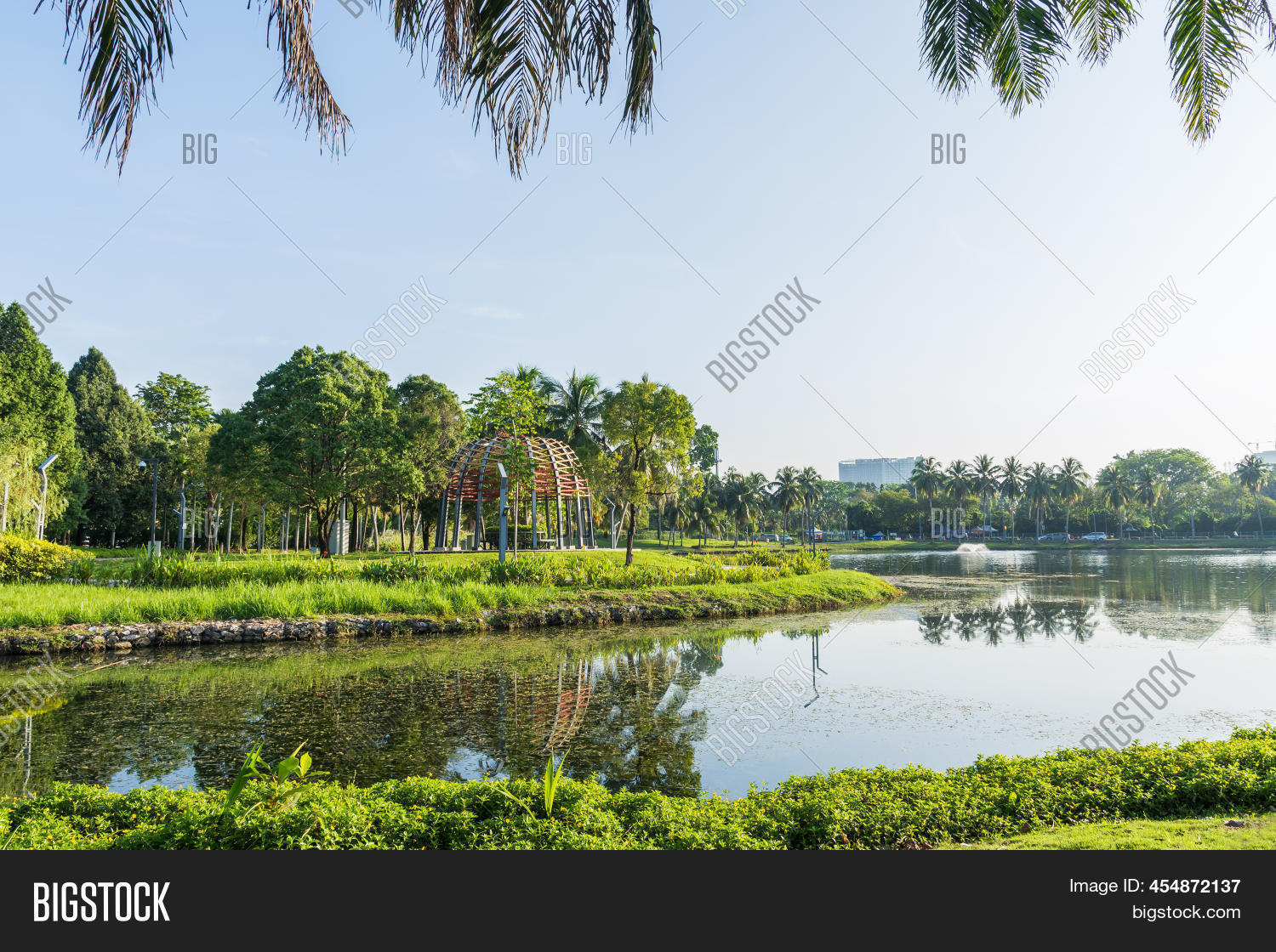 Image Preview