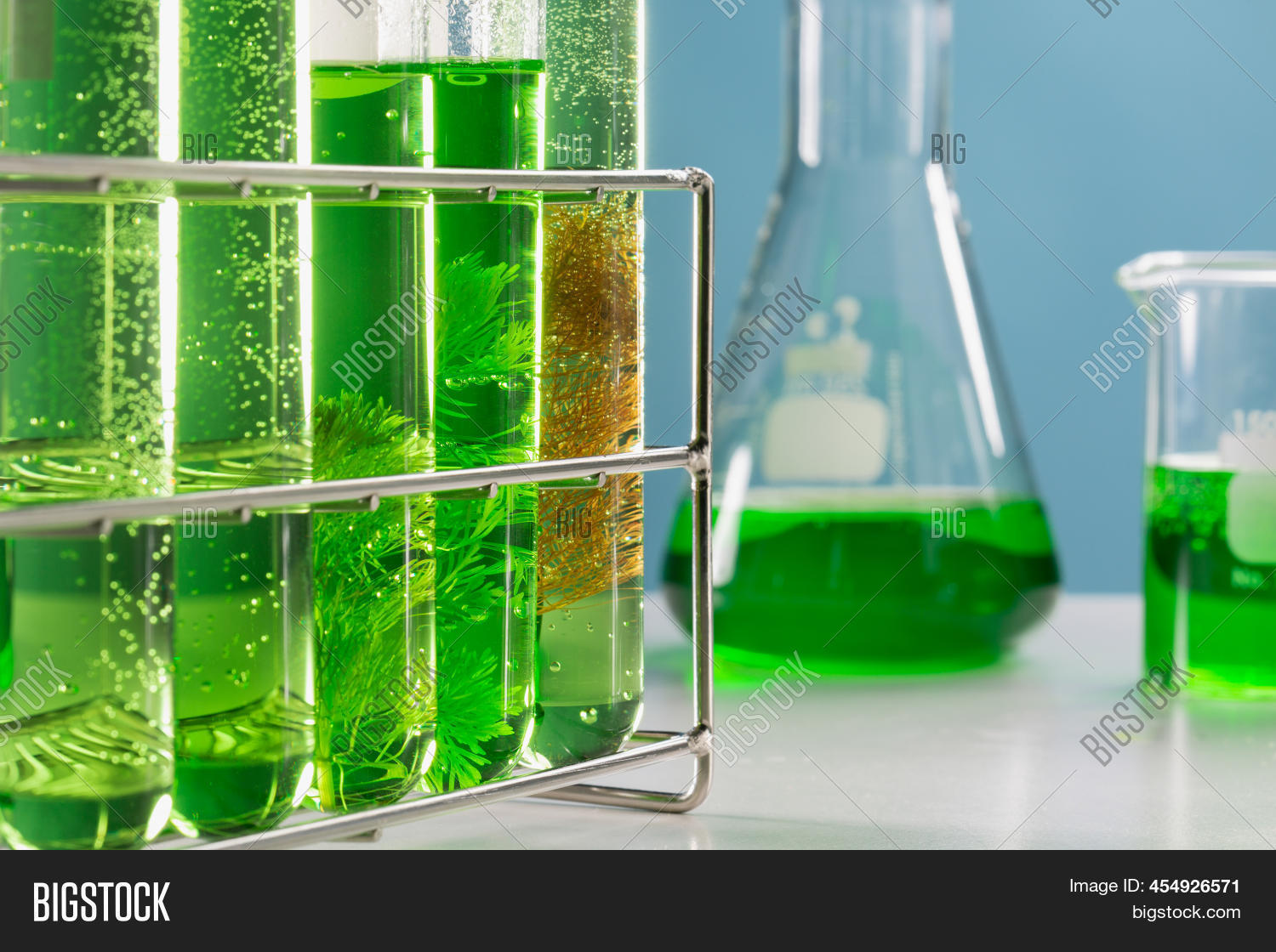 Algae Fuel Biofuel Image & Photo (Free Trial) Bigstock