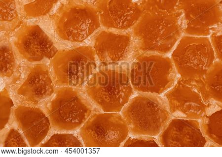 A Yellow Honeycomb Texture Closeup. Honeycomb Microphotography.