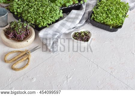 Mirko Green On A White Background With Space For Text. Copy Space. Flat Lay, Top View.