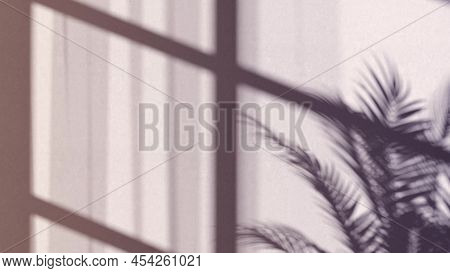 Game Of Shadow Animation Blend Effect In Room, Looped Switch, 4k, 3d Rendering. Overlay Shadows Wind