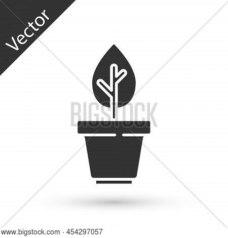 Grey Plant In Pot Icon Isolated On White Background. Plant Growing In A Pot. Potted Plant Sign. Vect