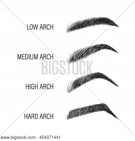 Female Eyebrows. Various Forms And Types. Arch Brows Shapes. Linear Vector Illustration In Trendy Mi
