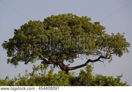 Hluhluwe Imfolozi Park Nature Reserve South Africa