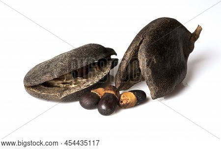 Close Up Pod,  Seed, Of Afzelia, Doussie Or Makha Mong Tree Tropical Native Plant Of Asia And Thaila