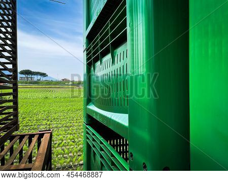A Stack Of Green Harvesting Crates Is In The Foreground Waiting For Harvest, Framing Italian Garden 